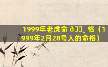 1999年老虎命 🕸 格（1999年2月28号人的命格）